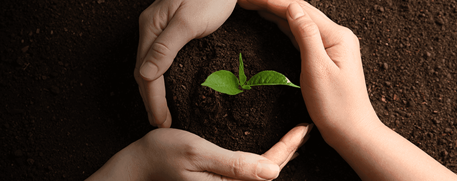 Sustainability At BVK Group